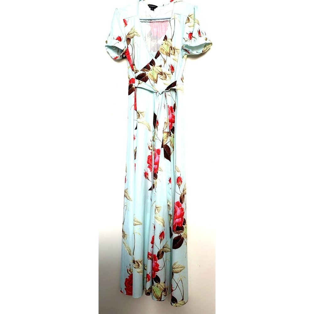 Haoduoyi Wrap Style Maxi Dress Pale Aqua Large Red Rose Short Sleeve Womens 2XL